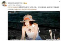 赵昭仪最新爆料消息,揭开娱乐圈背后惊人真相