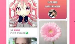 熔岩夺宝最新爆料视频下载,揭秘神秘宝藏与惊险冒险之旅